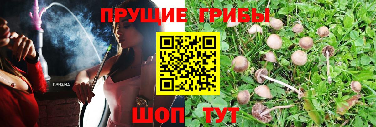 Галлюциногенные грибы MAGIC MUSHROOMS Кизляр