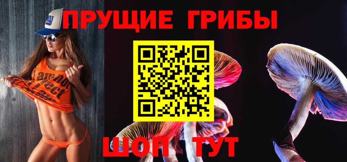 Кизляр  Псилоцибиновые грибы ЛСД  Вход с VPN 